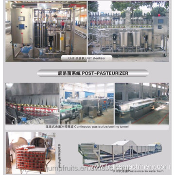 fruit and vegetable sterilizing machine